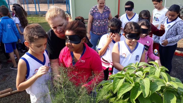 Jardim  sensorial  ajuda alunos a desenvolverem muito mais  que os cinco sentidos