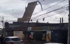 Imagem: Repordução