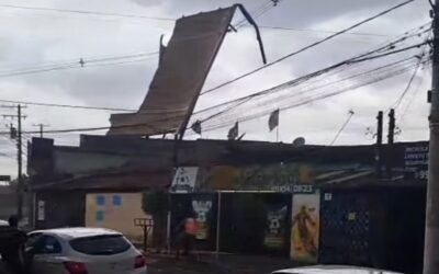 Imagem: Repordução